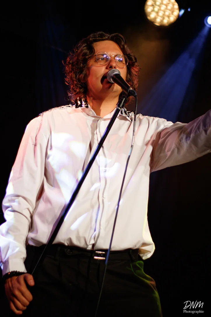 Fran&ccedil;ois Thiry au micro sur pied, en concert